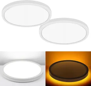 12 Inch Flush Mount LED Ceiling Light with Night Light, 24W, 2400lm, Selectable 3000K/4000K/5000K, Flat Lights for Bedroom, Kitchen, White (2Pack)