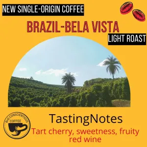 Brazil - Bela Vista - Light Roast