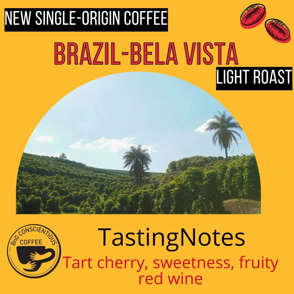 Brazil - Bela Vista - Light Roast