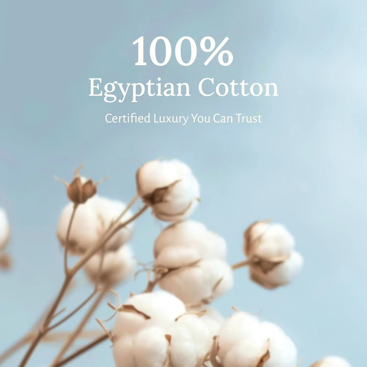 Certified Luxury 100% Egyptian Cotton Bedsheets, California King Bed Sheets, Bedding Sheets & Pillowcases Set, Sateen Cool Sheets for Hot Sleepers, Light Grey Sheets