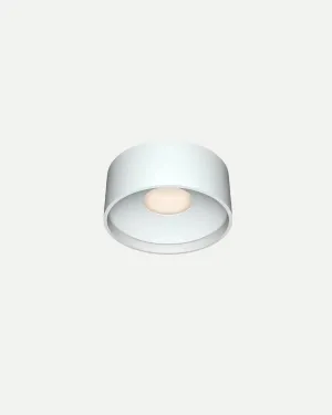 Flat Ceiling Light