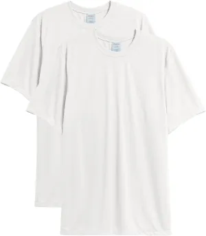 Hanes Men's T-shirt Pack, Cool Dri Moisture-wicking Performance T-shirt, Performance Tee, 40  Upf Protection, 2-pack