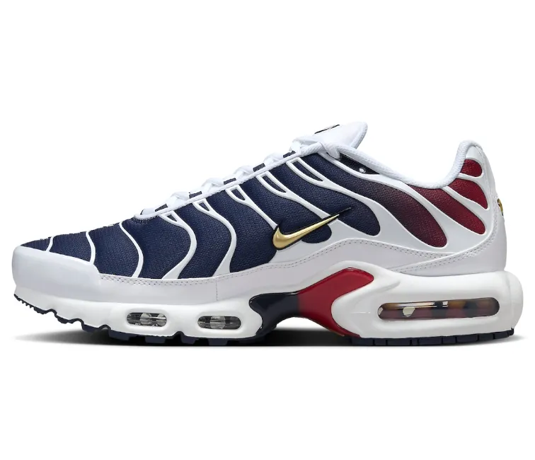 Men's Nike Air Max Plus TN (PSG)