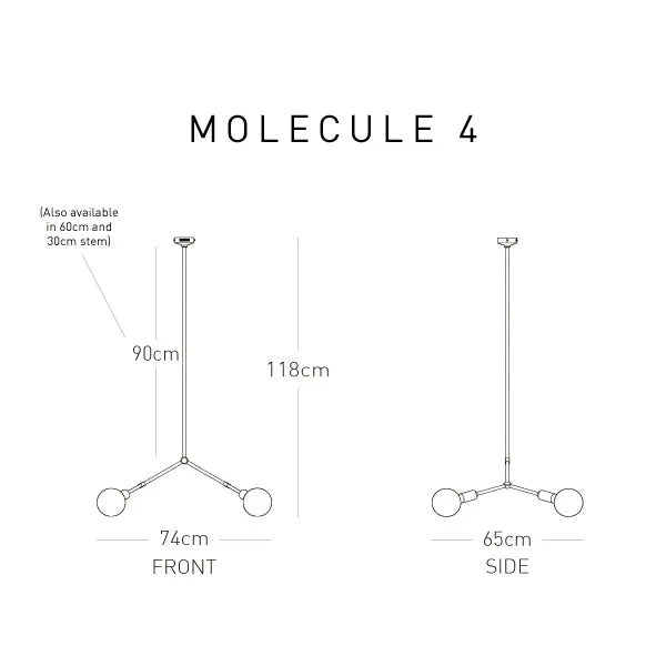 Molecule 4