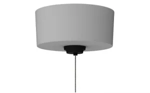 Two Light Fan Light Kit in Flat Black