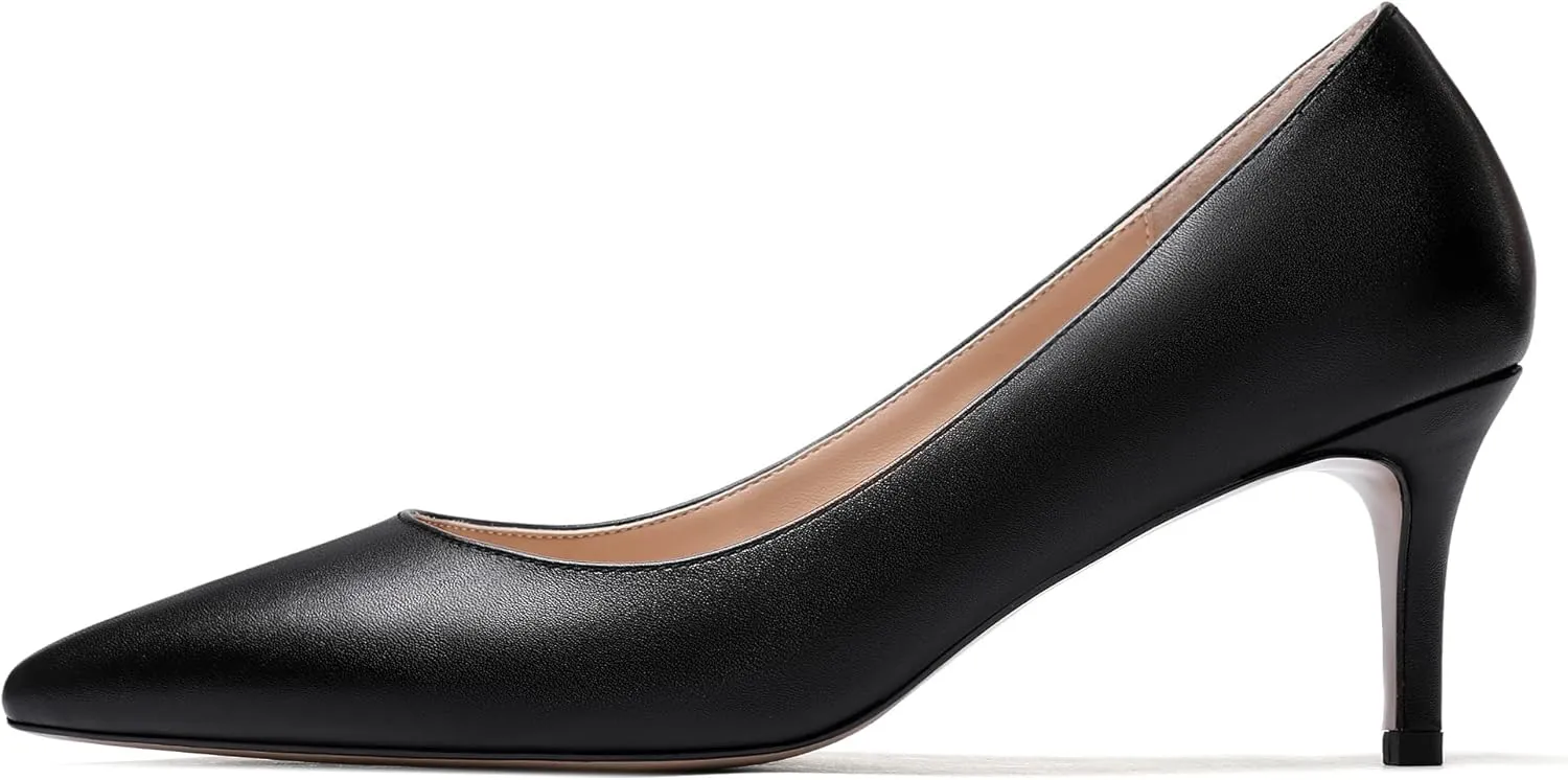 WAYDERNS Women's Slip On Solid Pointed Toe Matte Stiletto Mid Heel Pumps Shoes 2.5 Inch