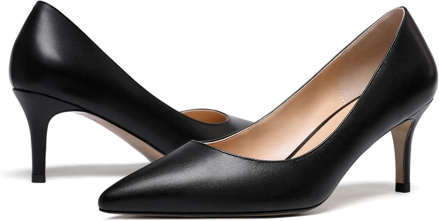WAYDERNS Women's Slip On Solid Pointed Toe Matte Stiletto Mid Heel Pumps Shoes 2.5 Inch