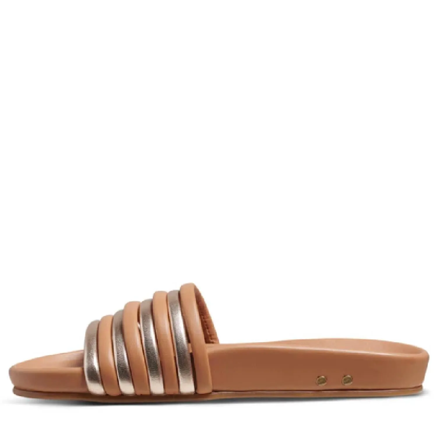 Women's Hoopoe Leather Slide In Brown/gold
