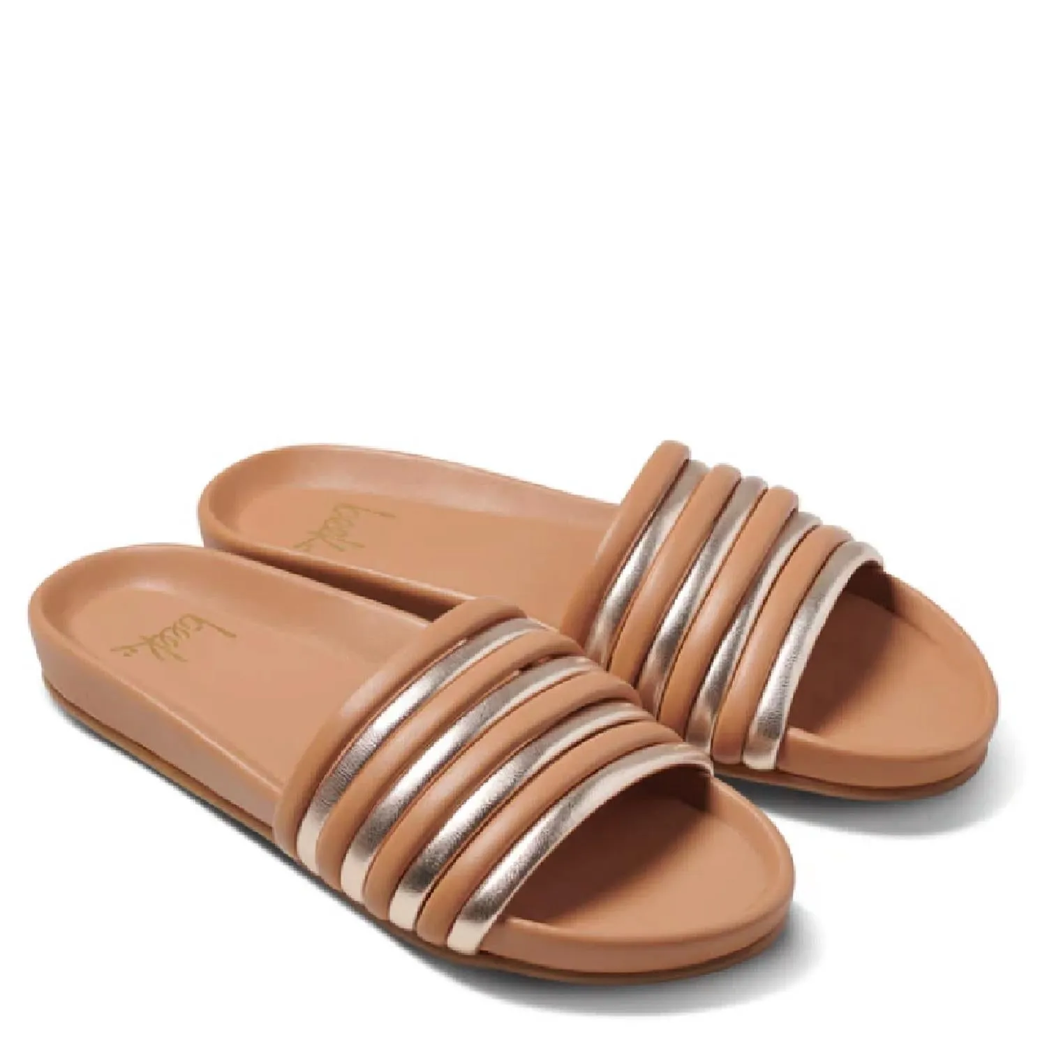 Women's Hoopoe Leather Slide In Brown/gold